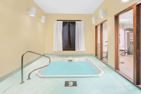 Pool - Ramada Hotel International Airport Denver
