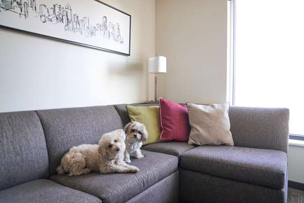 Suite - Hyatt House Hotel Downtown Denver