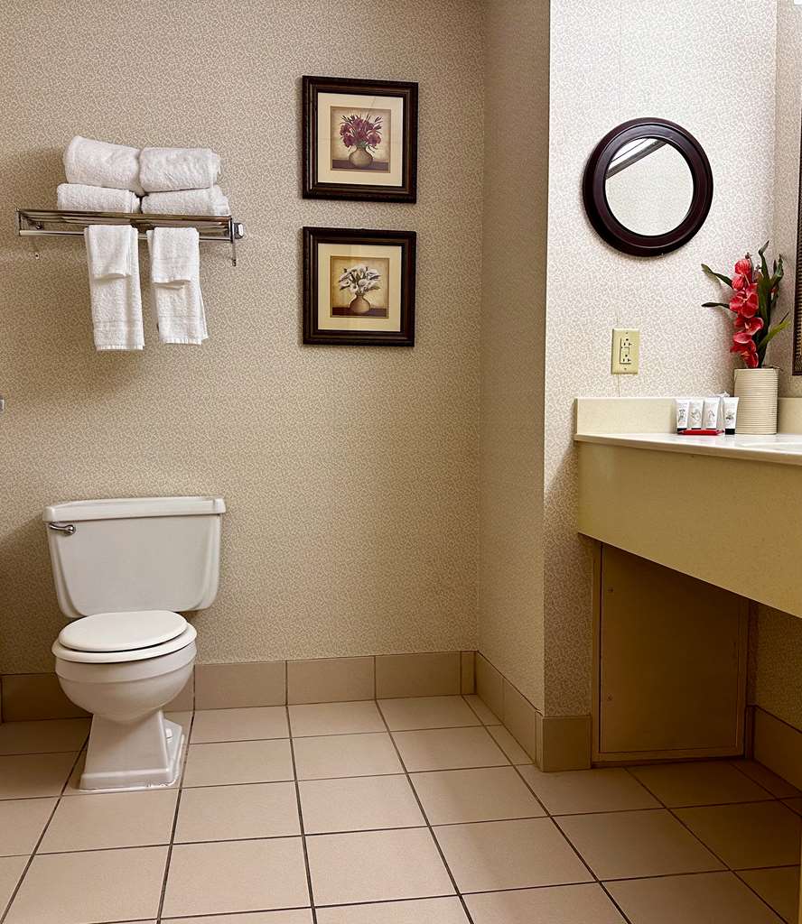 REDLIONHOTEL HARRISBURGHERSHEY-guestroom-Guest Room,Bathroom,On-Site.jpg