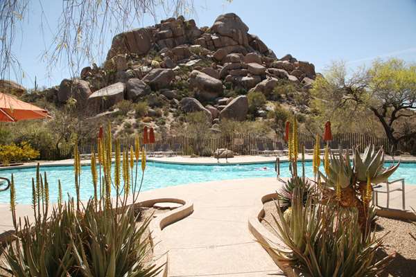 Pool - Boulders Resort & Spa Carefree