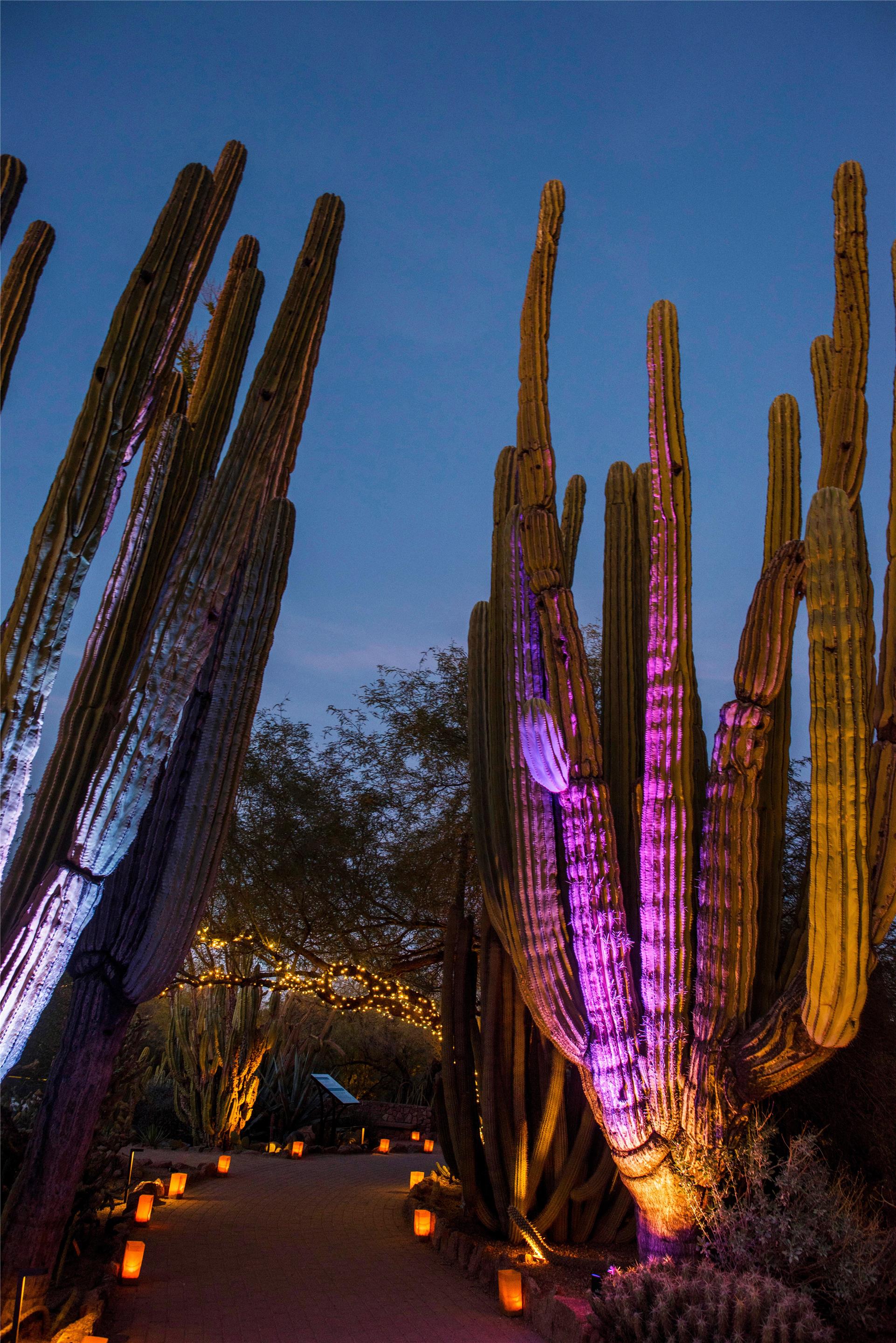 Exterior | Boulders Resort & Spa Scottsdale, Curio Collection by Hilton
