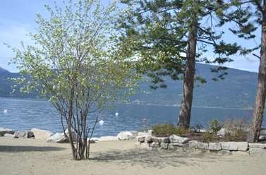 Beach - Outback Resort Vernon