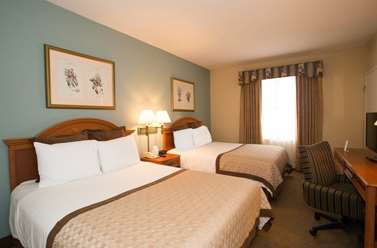 Suite - staySky Suites I-Drive Orlando - I-4, Exit 74A
