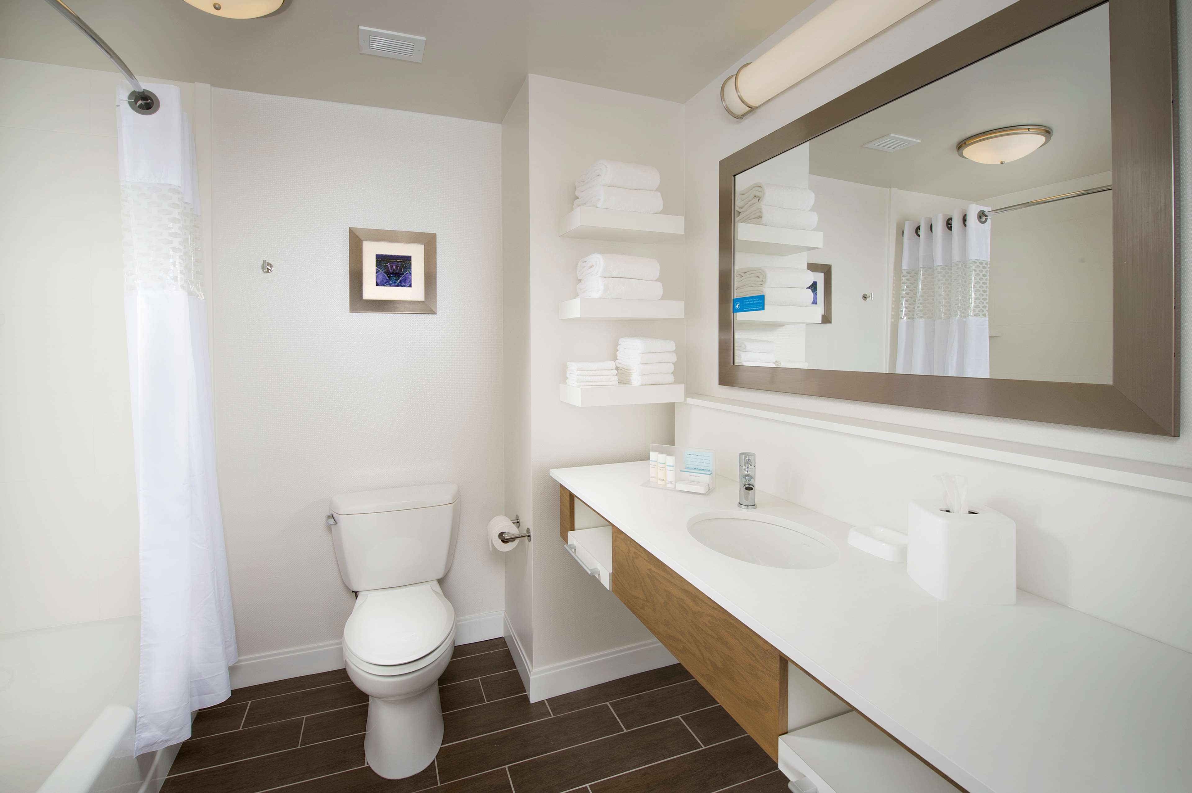 Hampton Inn & Suites by Hilton Syracuse/Carrier Circle Room Type - 1 KING SFBD FRG NS