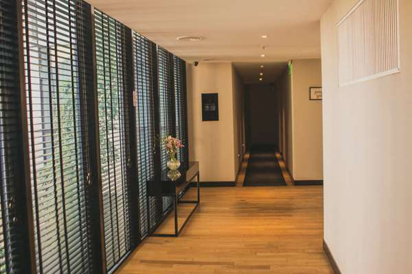 Anselmo Buenos Aires, Curio Collection by Hilton
