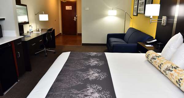  - Best Western Plus Fairburn Atlanta Southwest - I-85, Exit 61