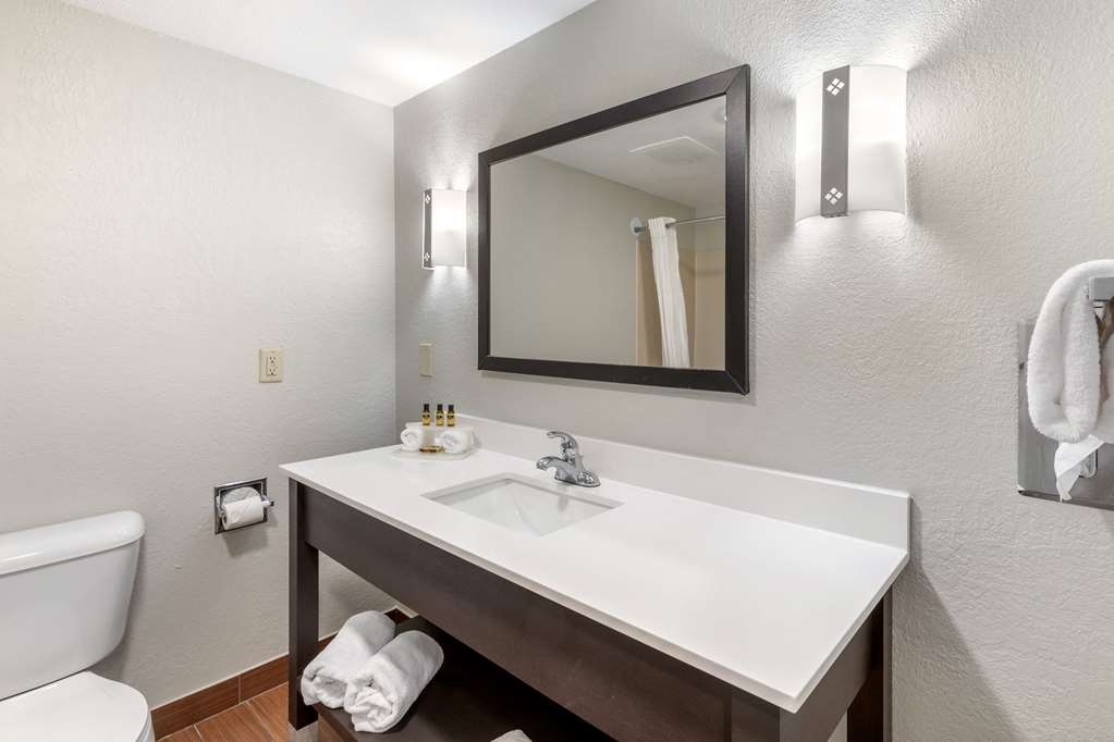 Best Western Plus Fairburn-Atlanta Southwest-guestroom-Guest Room,Bathroom,On-Site.jpg
