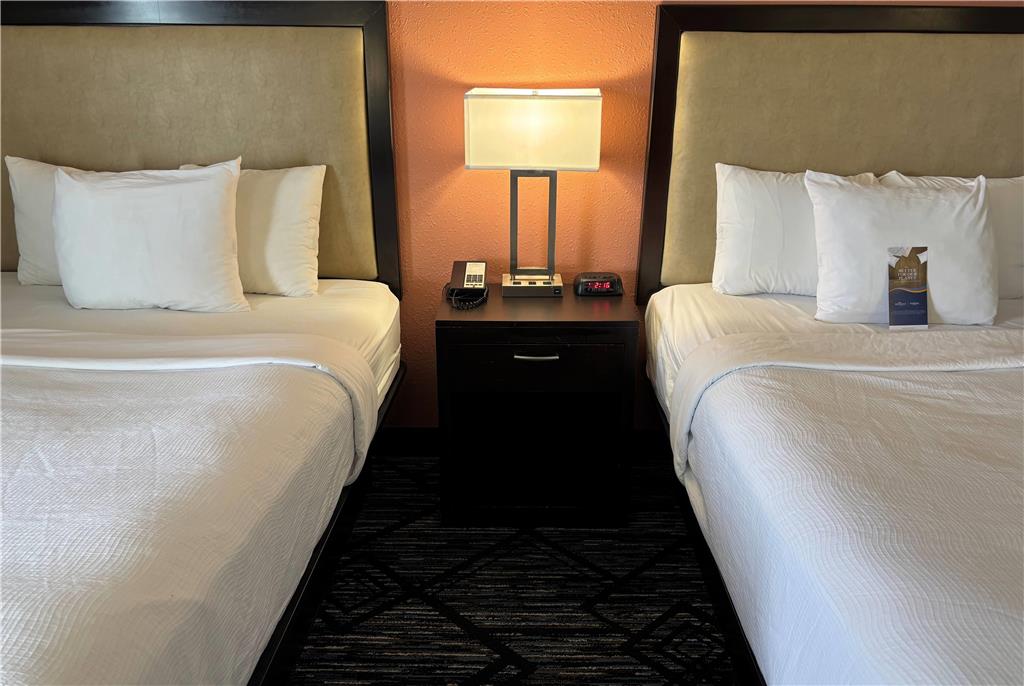 BAYMONT BY WYNDHAM, LITCHFIELD-guestroom-Guest Room,On-Site.jpg