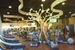 U-Spa Wellness & Fitness Center
