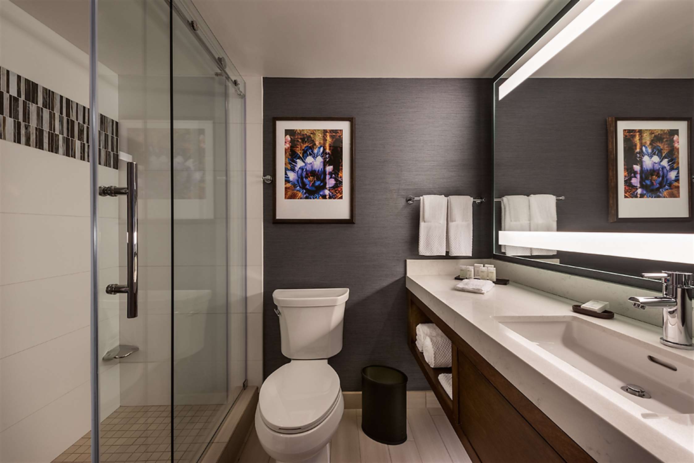 Guest room bath
