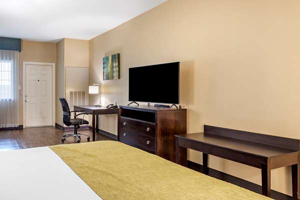 Suite - Best Western Plus Galveston Suites