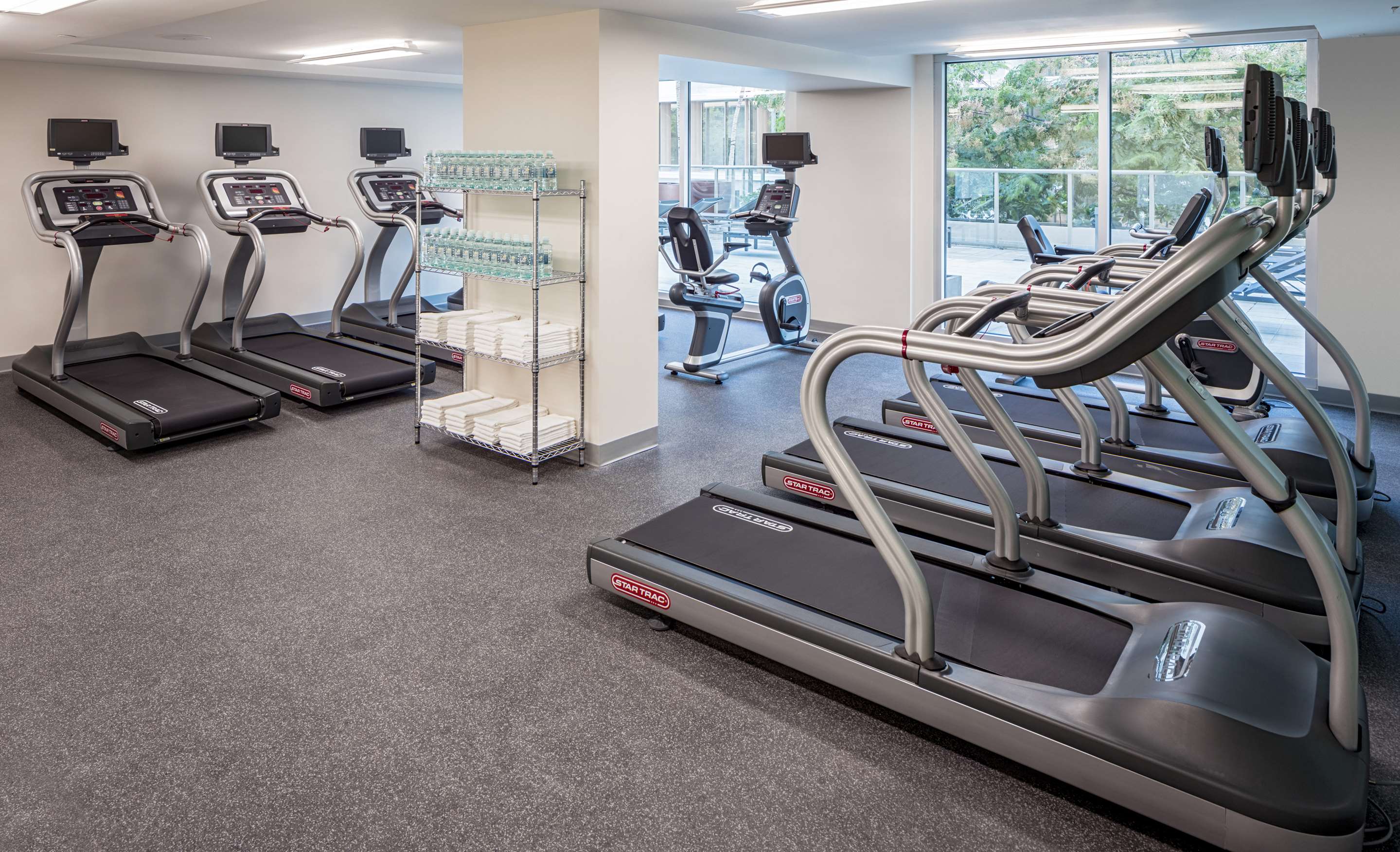 Health club fitness center gym