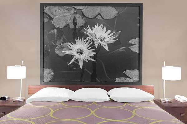  - Super 8 Motel Bay St Louis