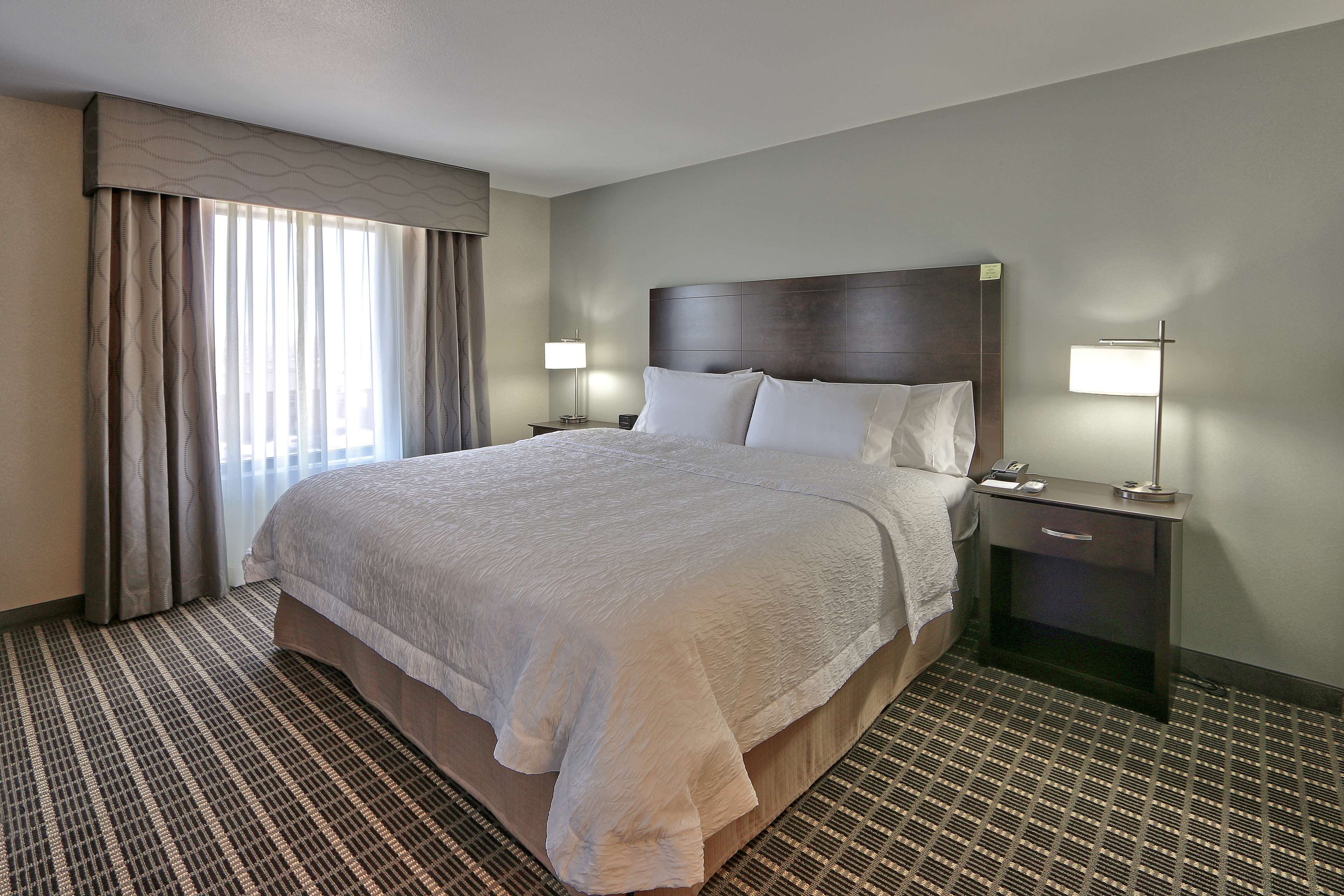 Hampton Inn & Suites by Hilton Albuquerque Airport Room Type - 1KN STDO MIC FRIDG WTBR NS