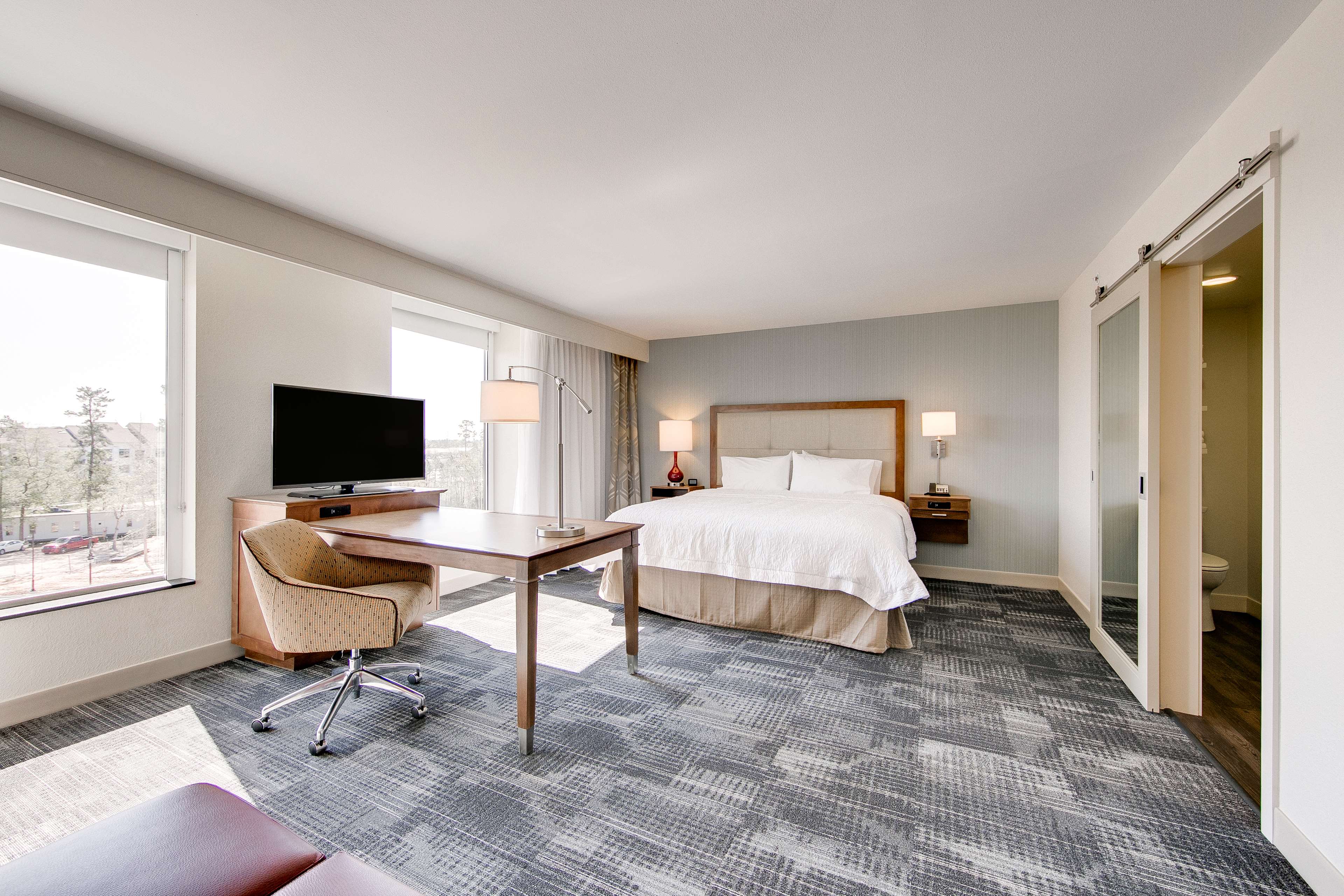 Hampton Inn & Suites by Hilton North Houston Spring Room Type - 1KN HEARING ACC STUDIO NS