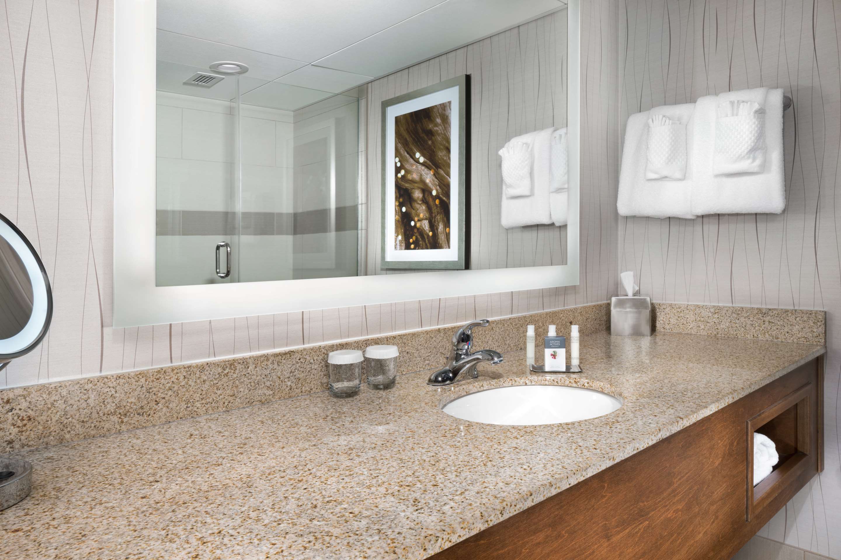 Guest room bath