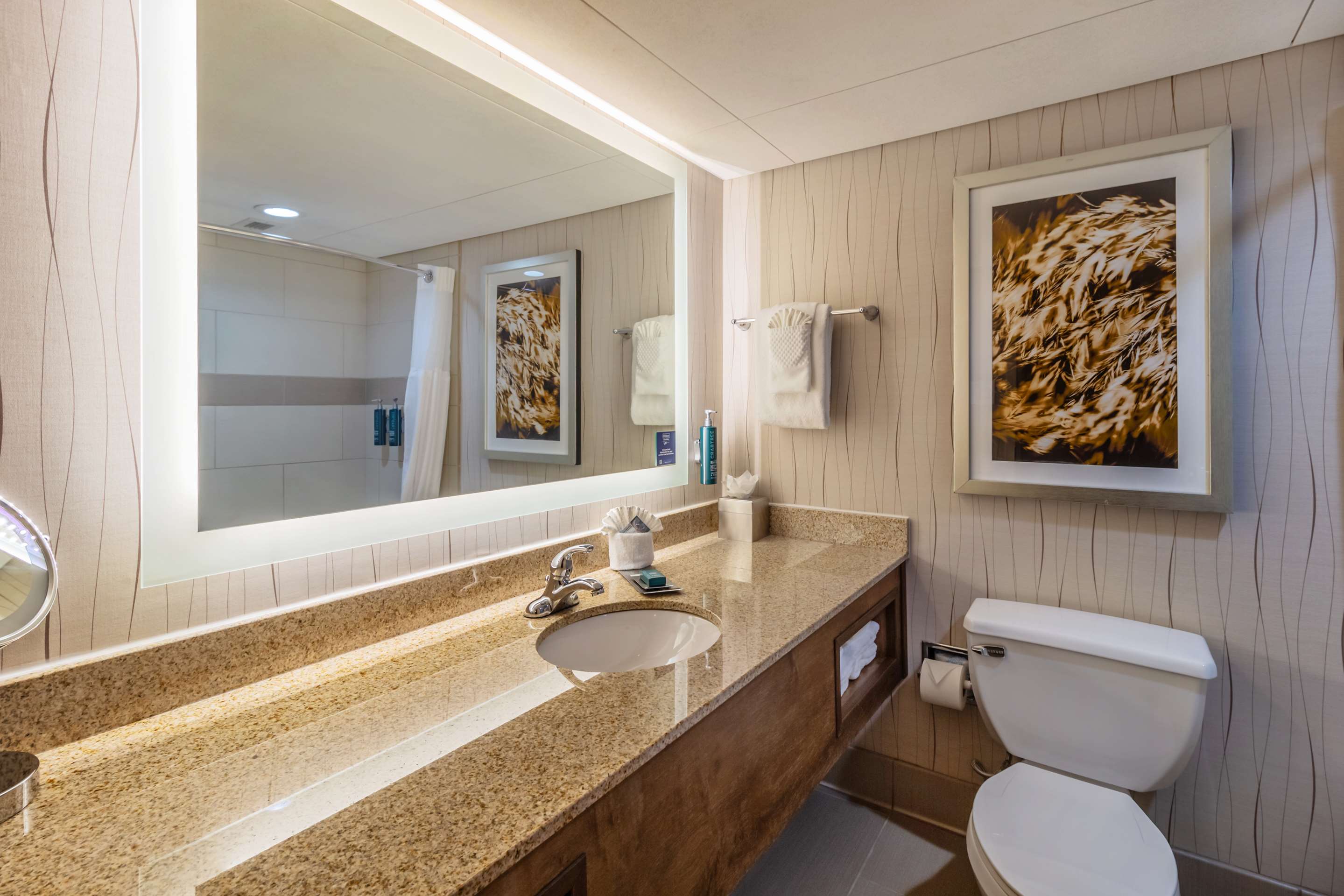 Guest room bath