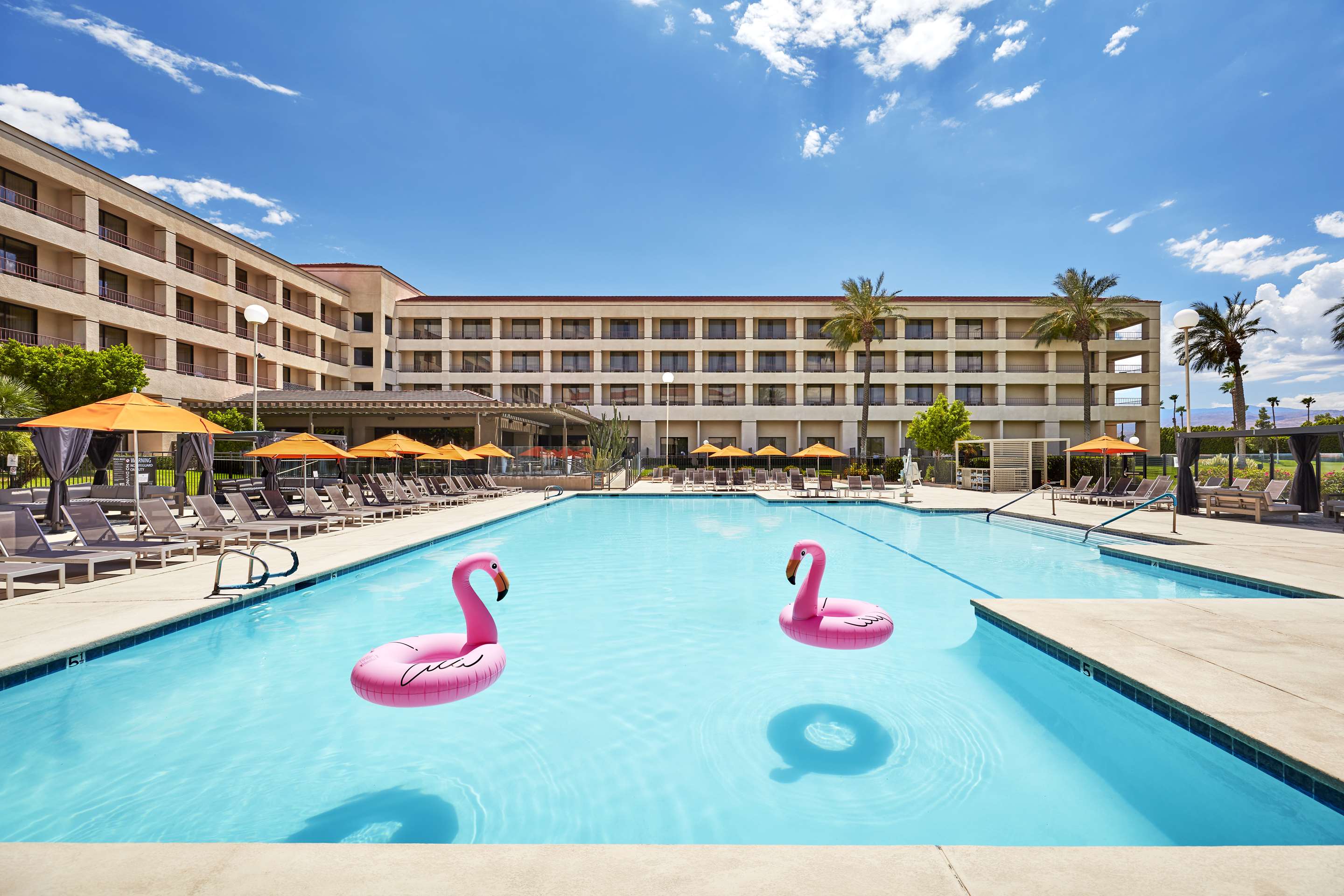 Pool | DoubleTree by Hilton Hotel Golf Resort Palm Springs