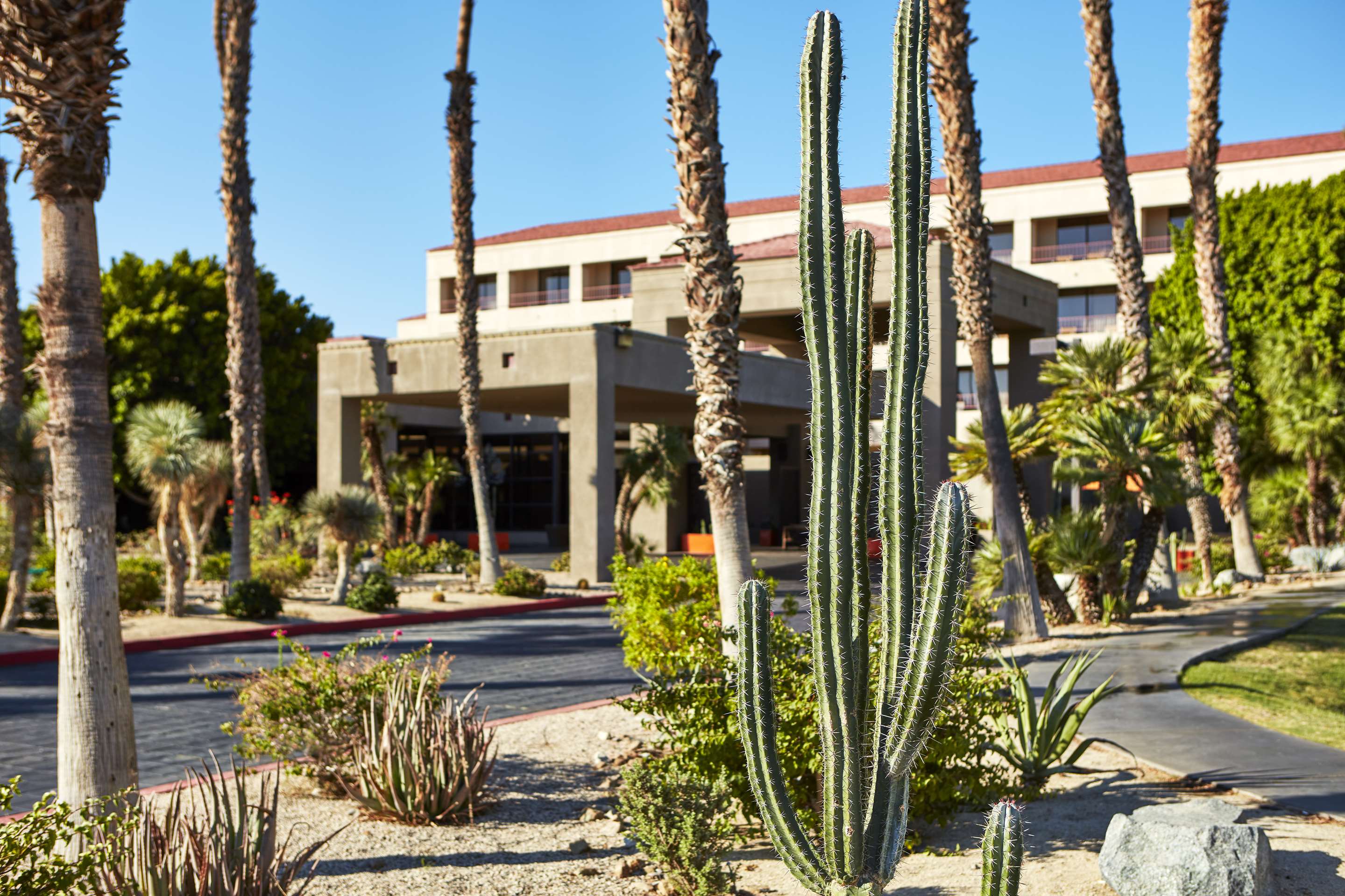 Exterior | DoubleTree by Hilton Hotel Golf Resort Palm Springs