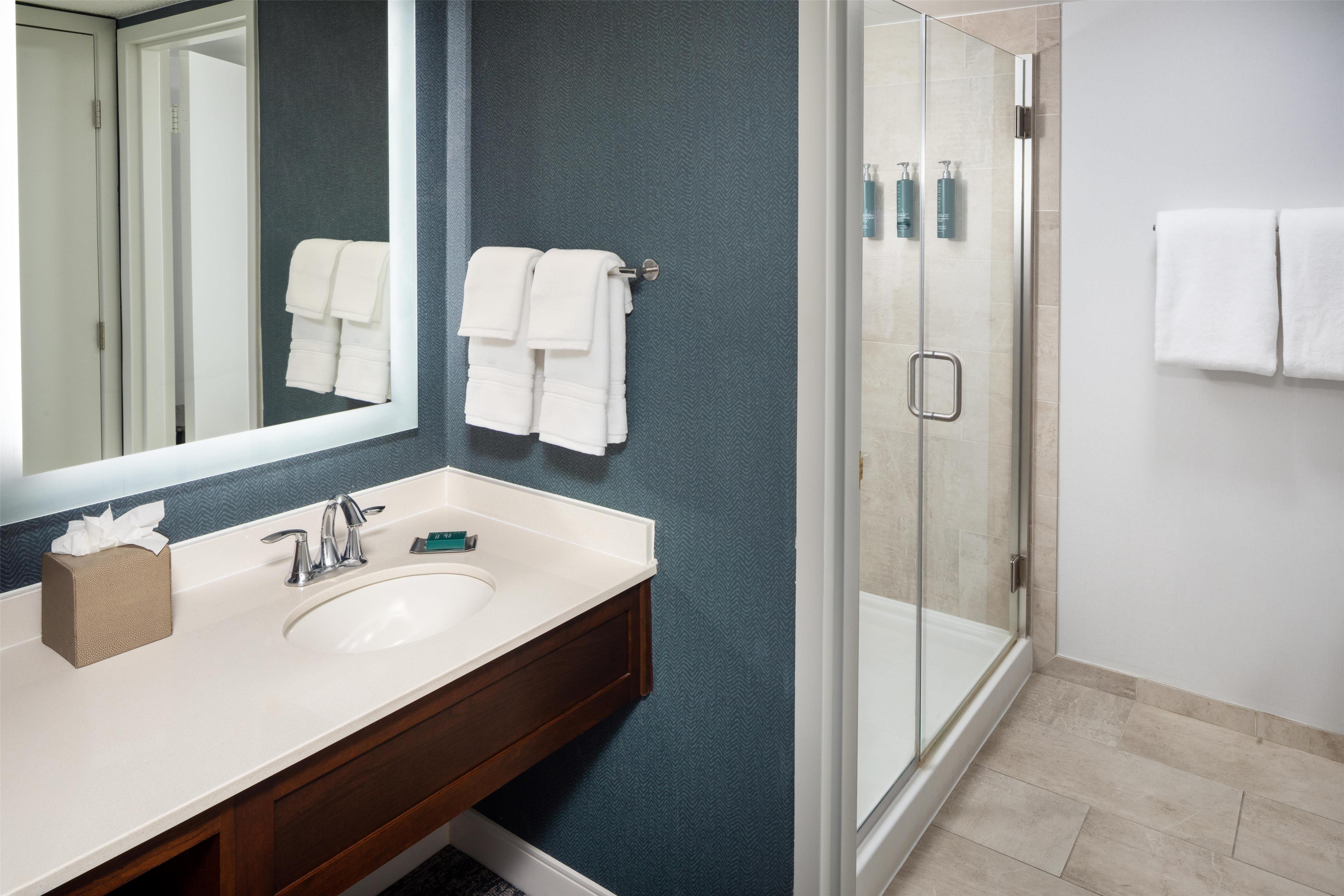 Guest room bath