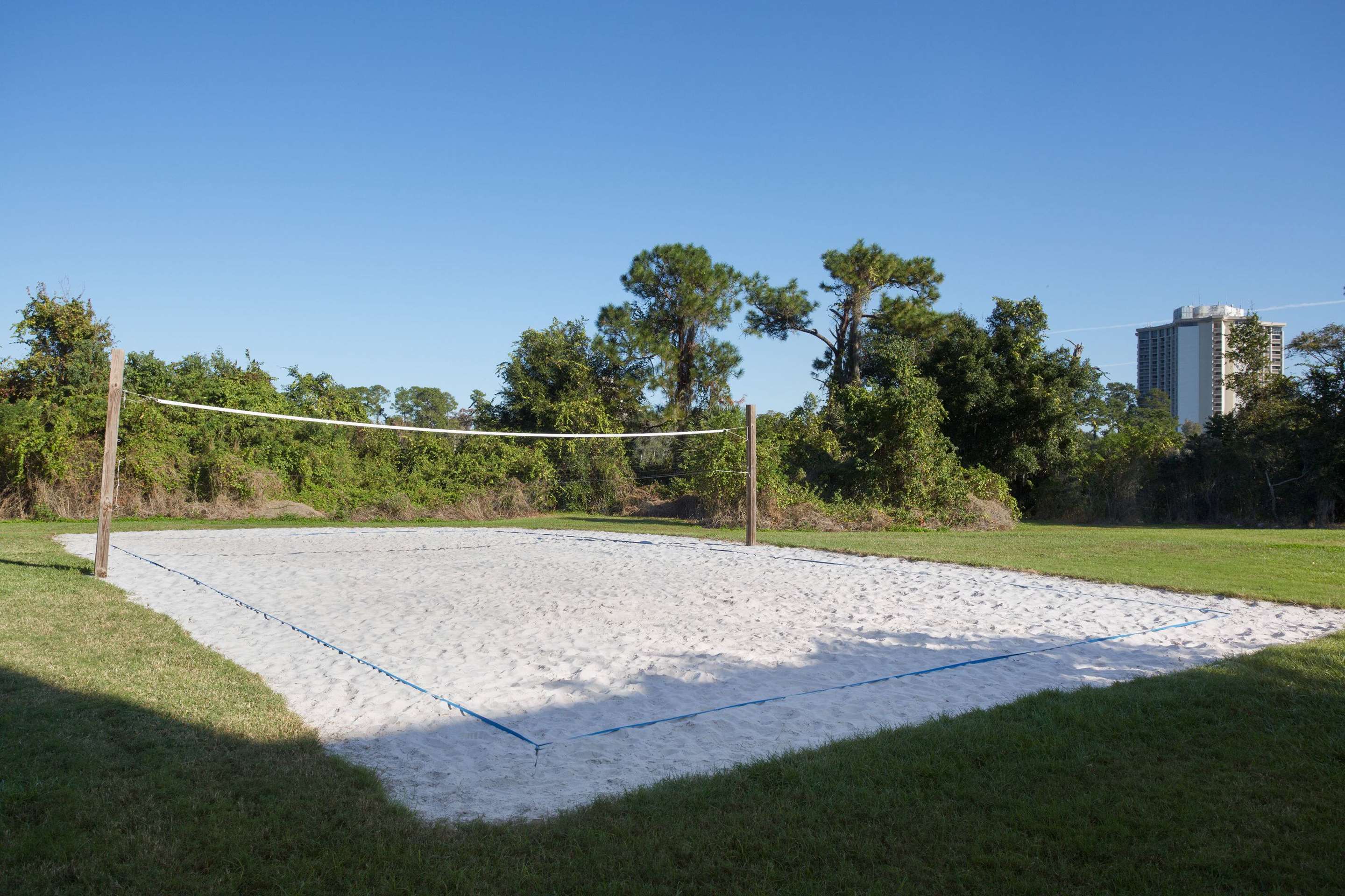 Volleyball Court | Wyndham Garden Lake Buena Vista Disney Springs® Resort Area