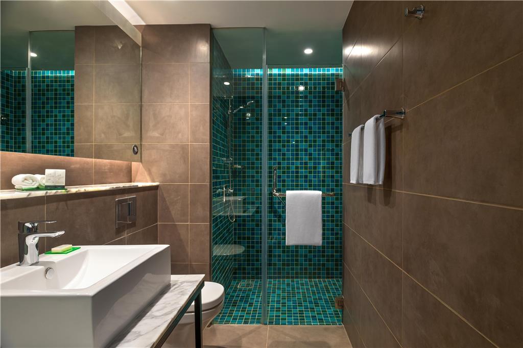 HYATT CENTRIC CANDOLIM GOA-guestroom-Guest Room,Bathroom,On-Site.jpg