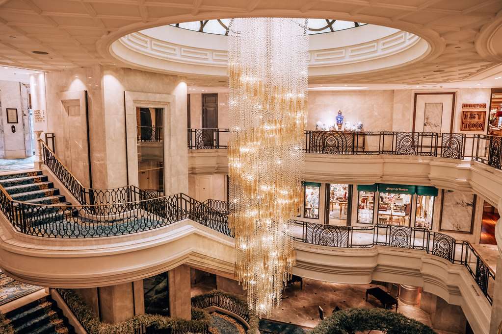 Guest photo