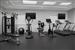 Health club  fitness center  gym
