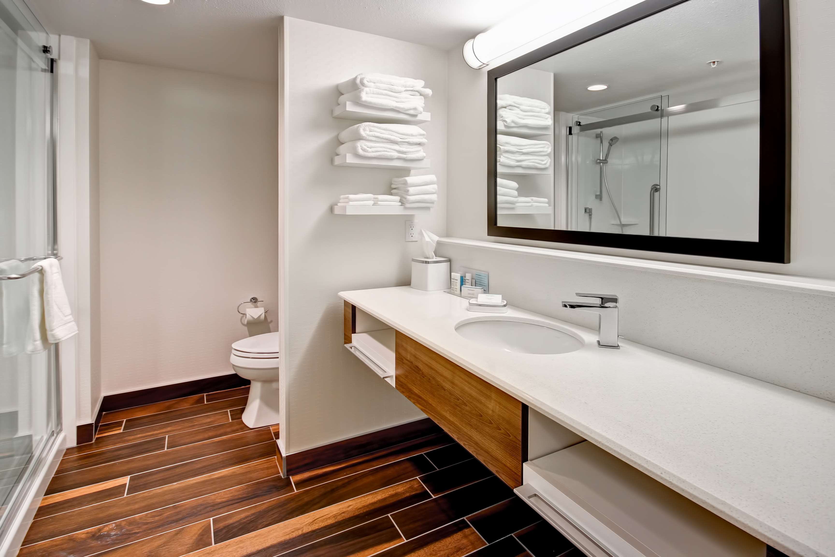Hampton Inn & Suites - Medicine Hat, Alberta, Canada Room Type - 1KING W FRIDGE NONSMOKING