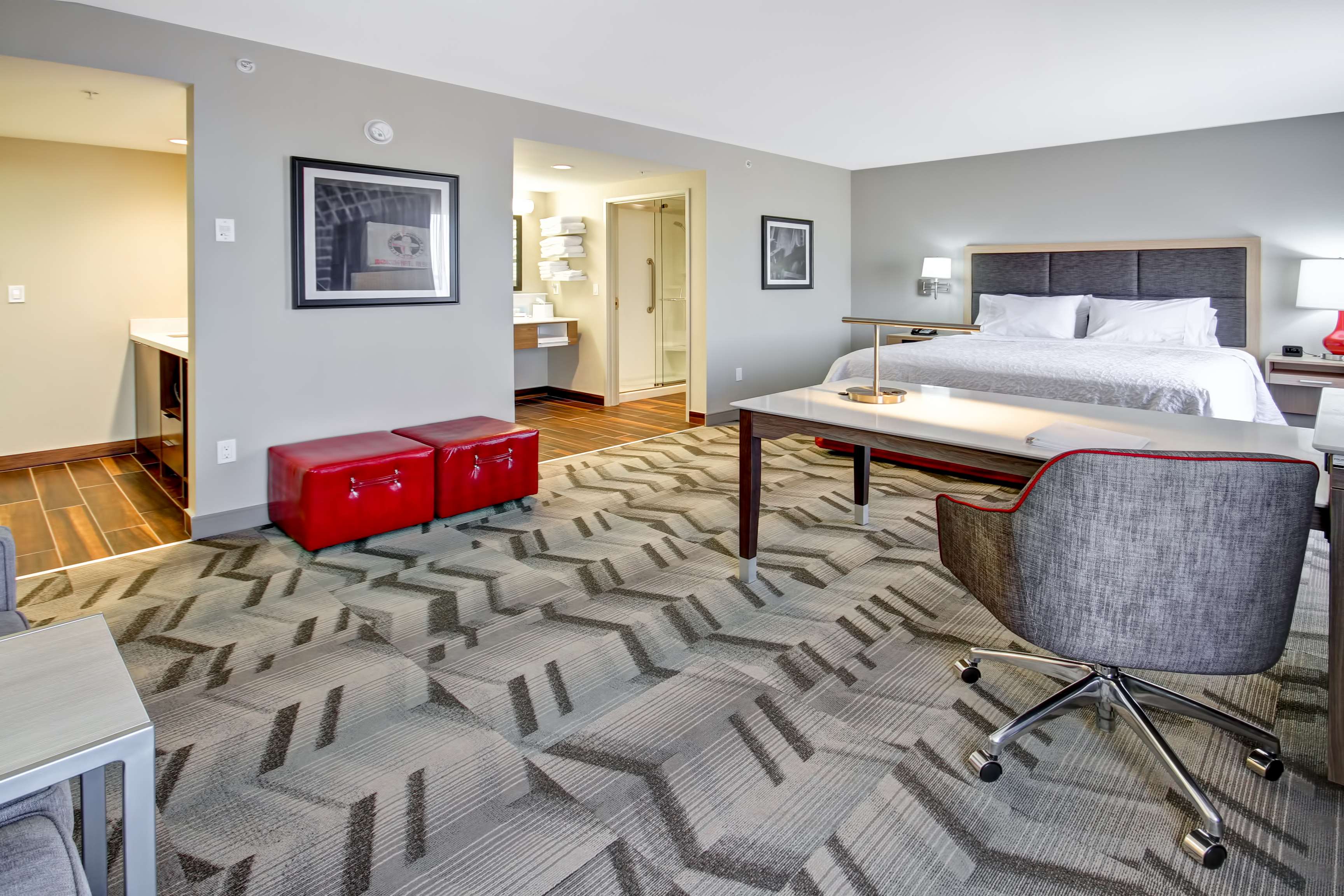 Hampton Inn & Suites - Medicine Hat, Alberta, Canada Room Type - 1KN STDO MIC FRIDG WTBR NS
