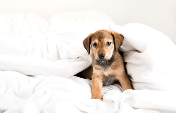  - Hyatt Regency Hotel Bloomington