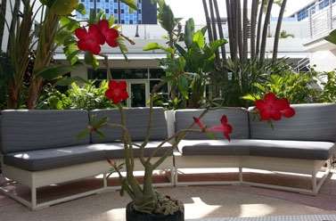  - Albion Hotel Miami Beach