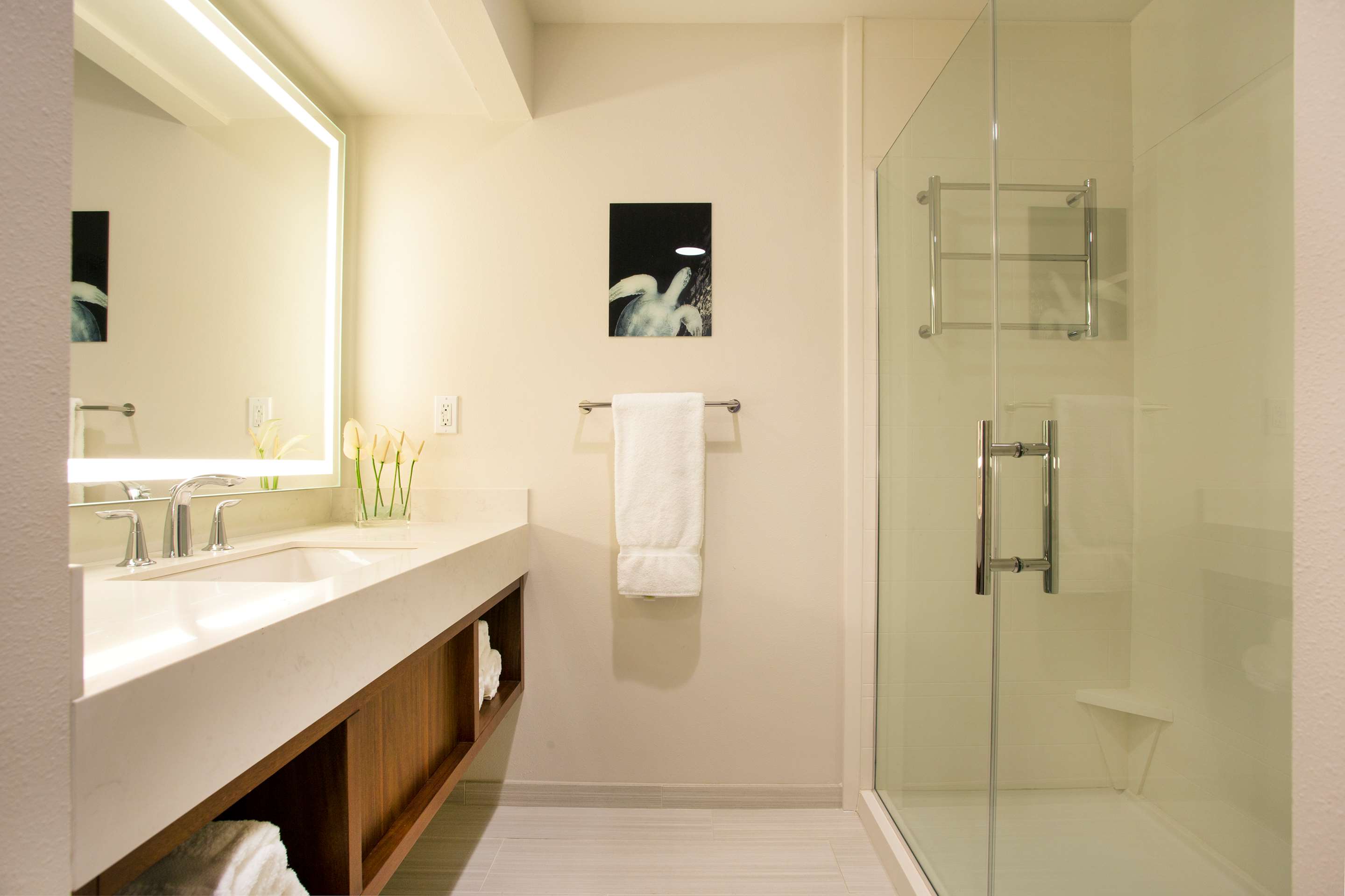 Guest room bath