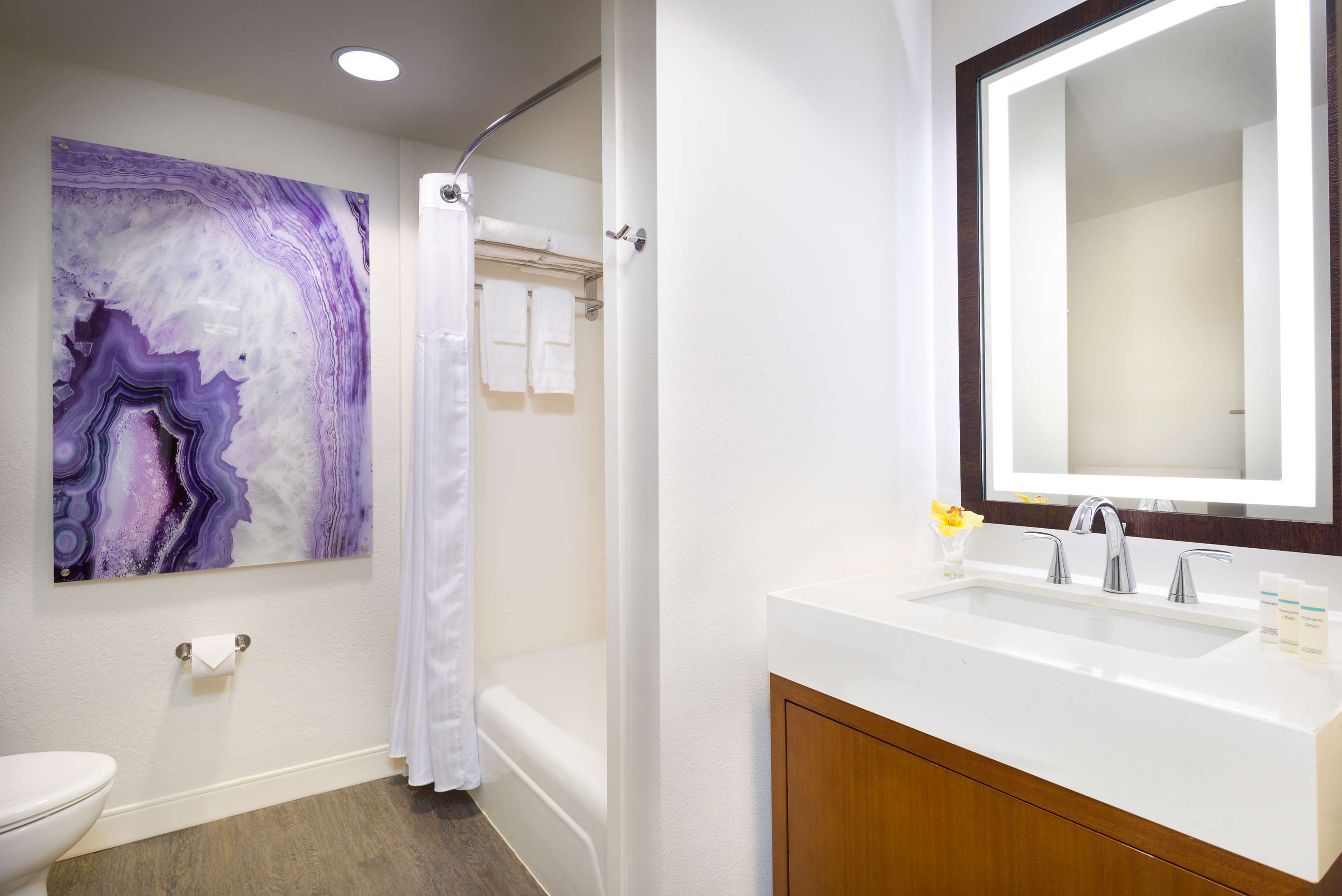 Guest room bath