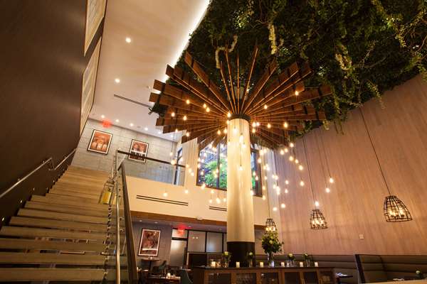 Bar - Innside New York NoMad Hotel