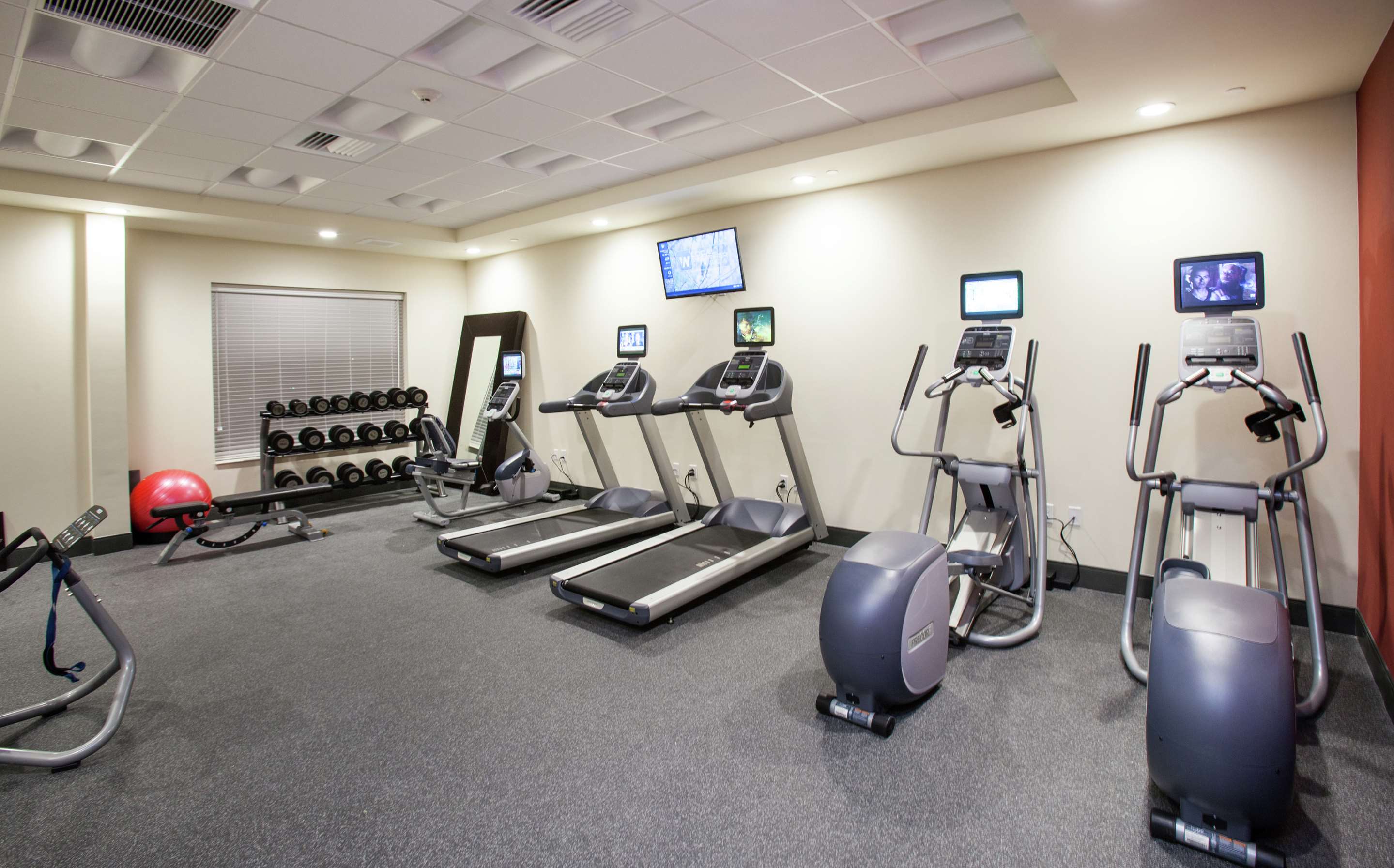 Health club fitness center gym