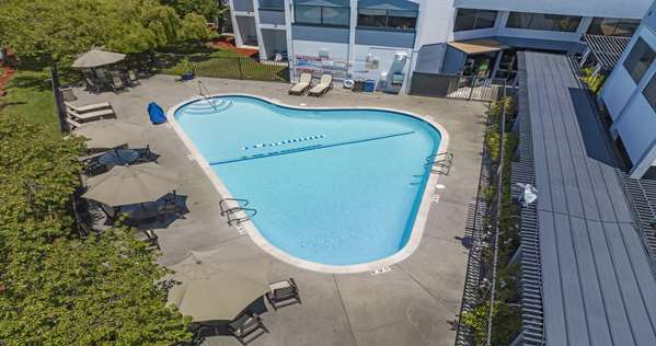 Pool - Best Western Plus Wine Country Inn Santa Rosa
