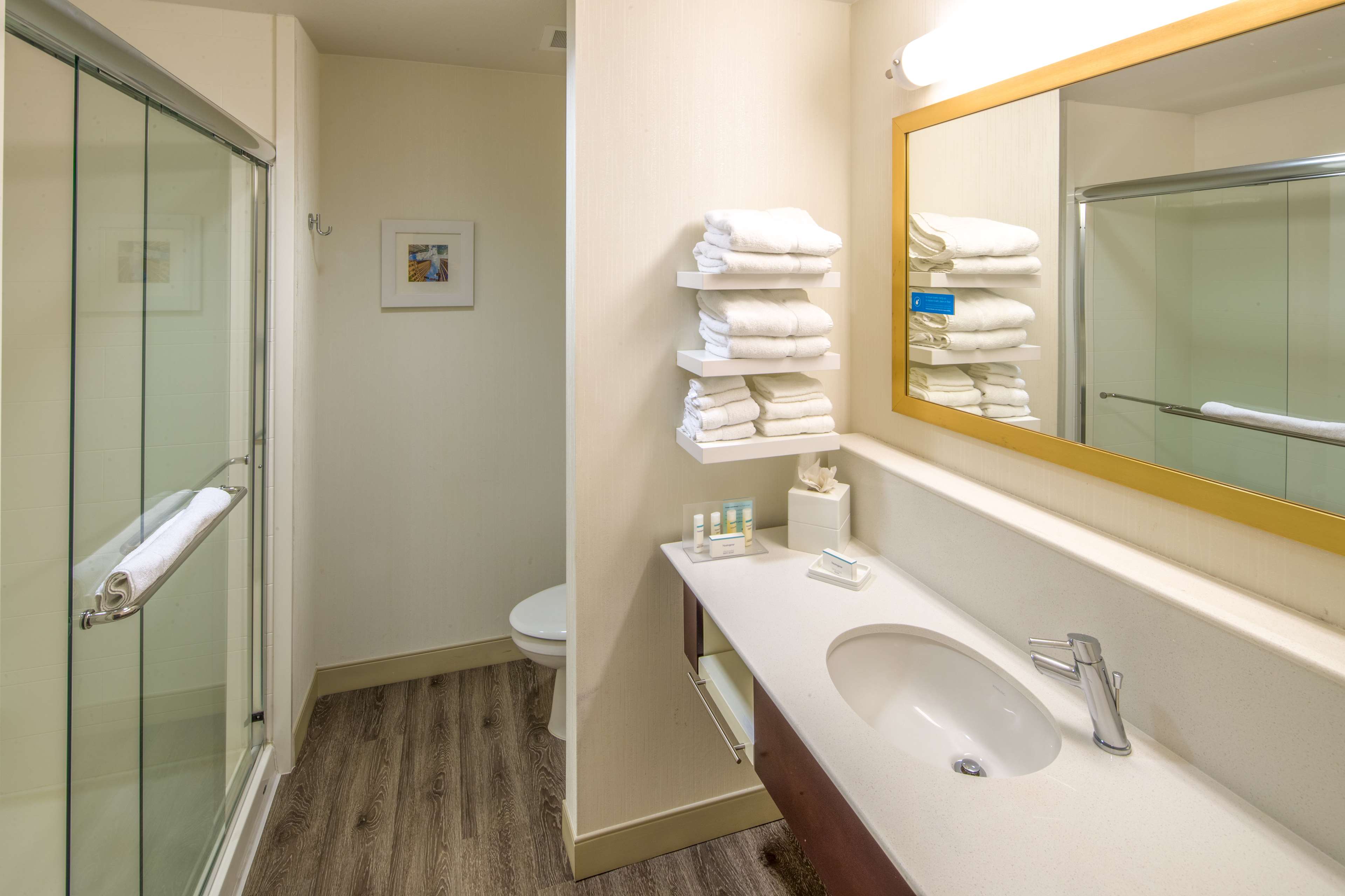 Hampton Inn by Hilton Houston Downtown Room Type - 1 KING W FRIDGE NS