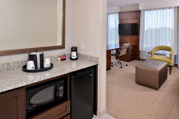  - Hampton Inn & Suites Downtown Orlando - I-4, Exit 83