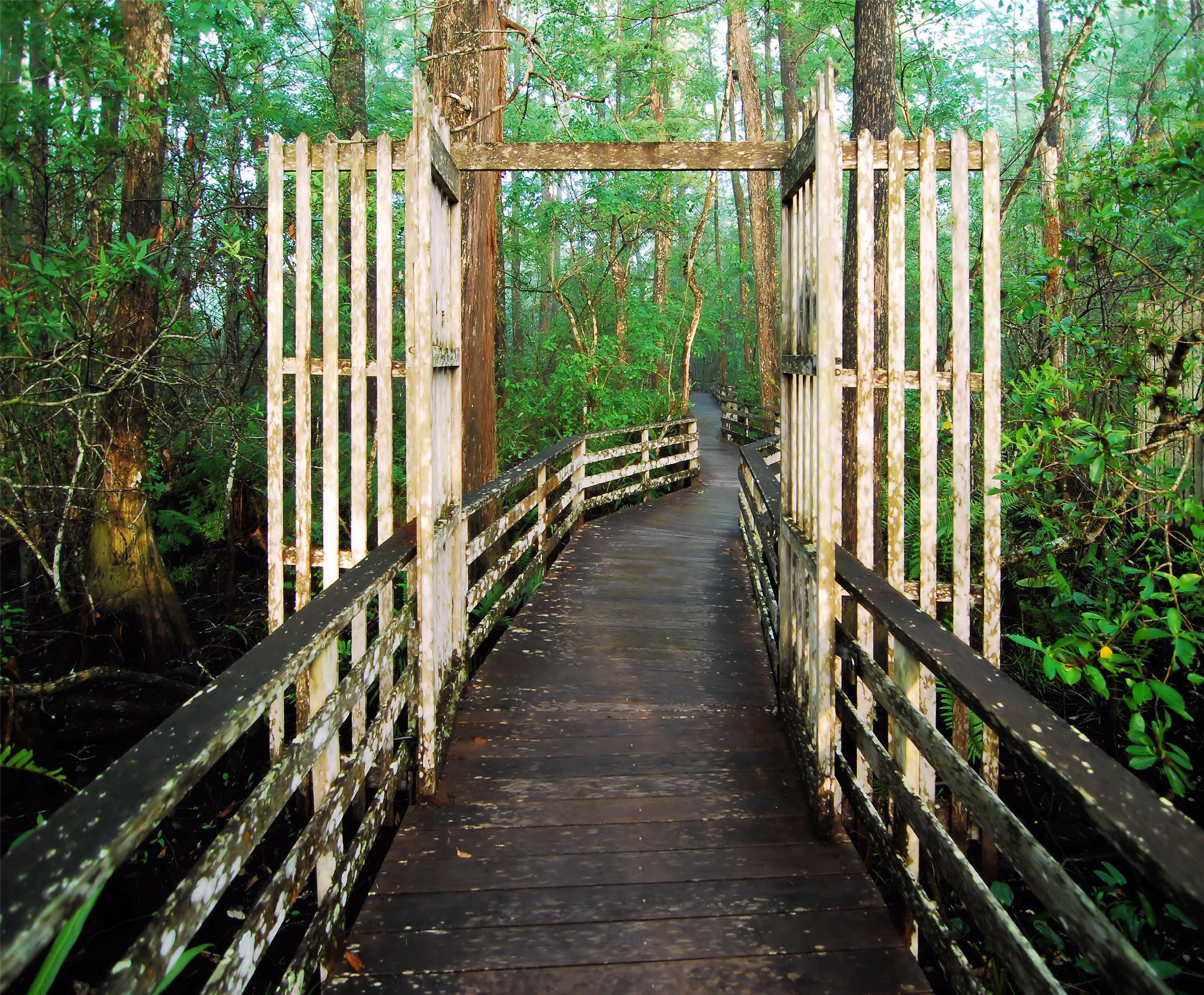 Destination | Hyatt House Naples/5th Avenue