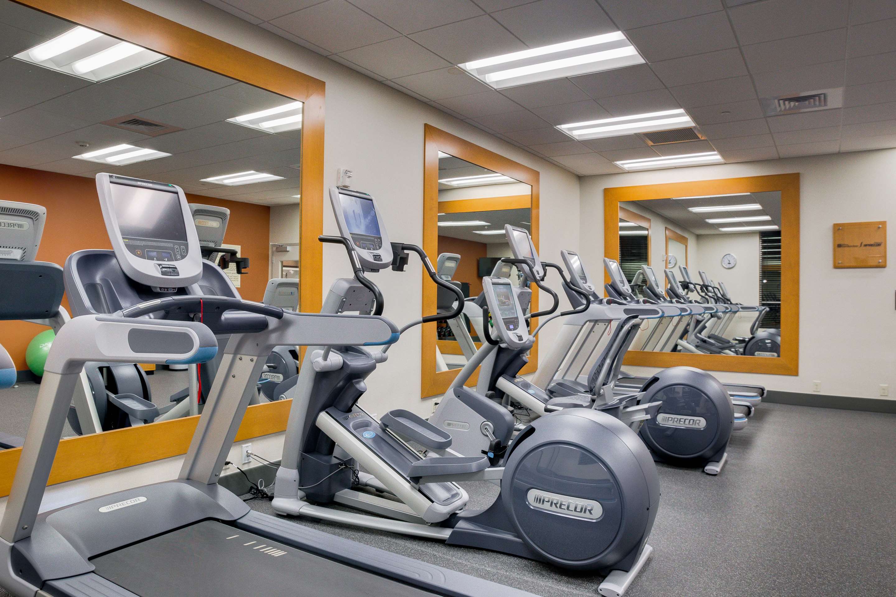 Health club fitness center gym