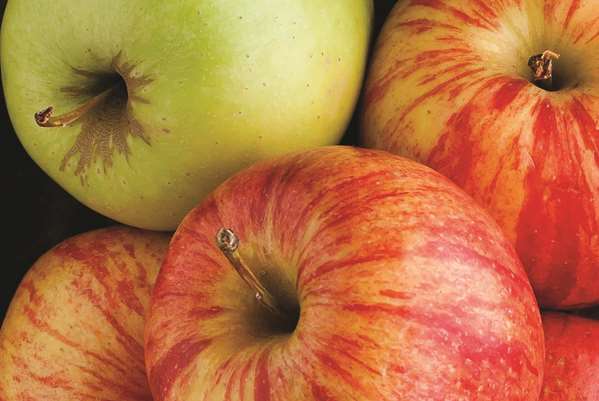  - La Quinta Inn & Suites Perimeter Atlanta