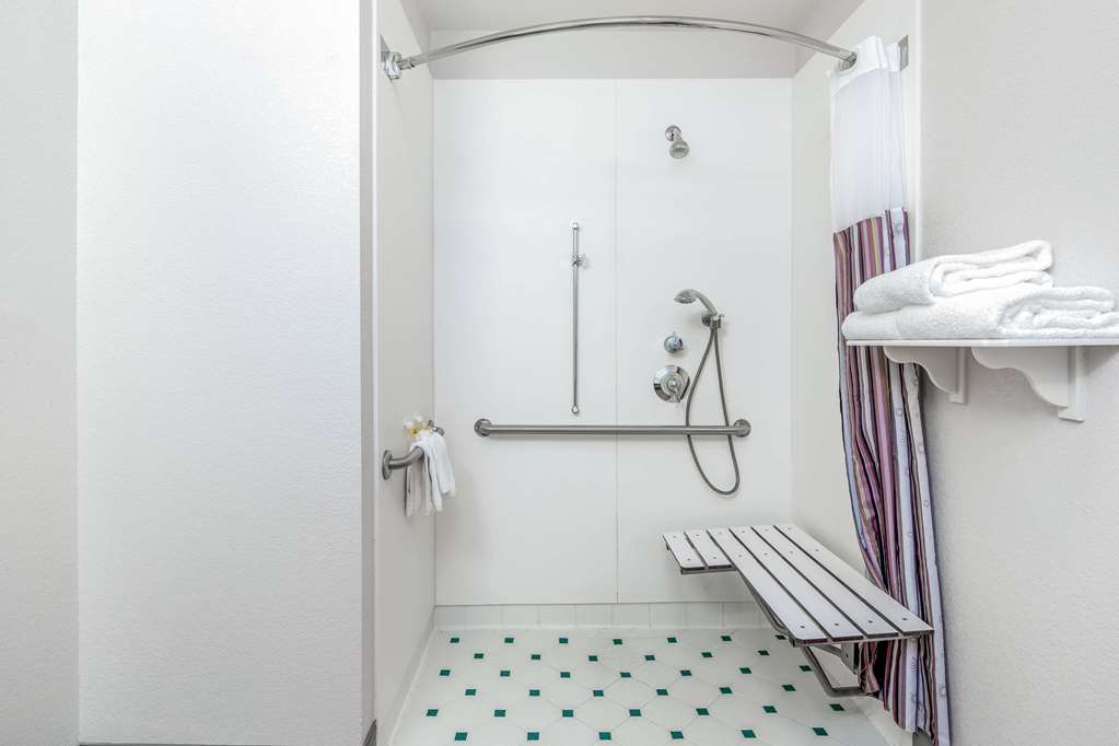 LA QUINTA INN STE FREMONT SILLICON-guestroom-Guest Room,Bathroom,Shower,Accessibility,On-Site.jpg