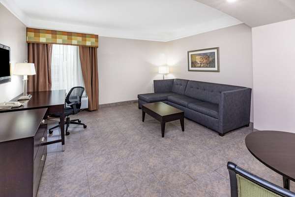 Suite - La Quinta Inn & Suites Rio Grande Valley Pharr
