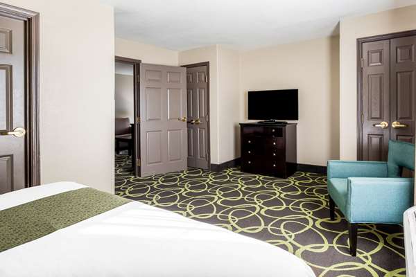 Suite - La Quinta Inn & Suites New Braunfels - I-35, Exit 189