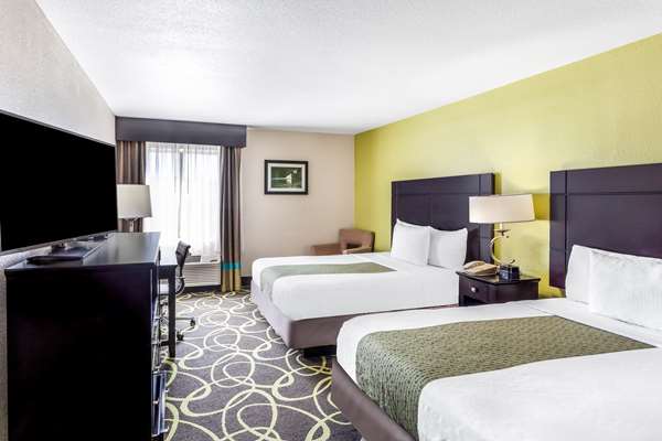  - La Quinta Inn & Suites New Braunfels - I-35, Exit 189