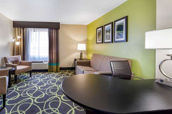 Suite - La Quinta Inn & Suites New Braunfels - I-35, Exit 189