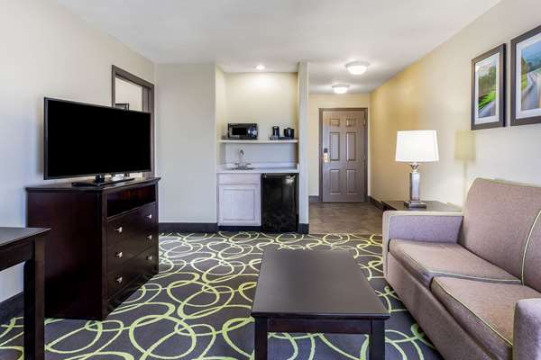Suite - La Quinta Inn & Suites New Braunfels - I-35, Exit 189
