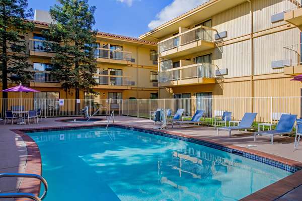 Pool - La Quinta Inn & Suites Hayward