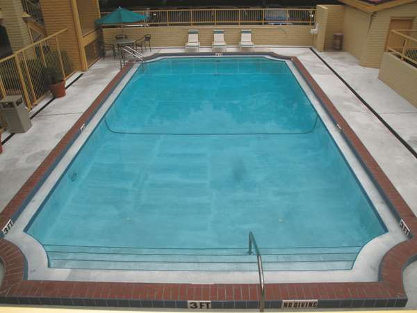 Pool - La Quinta Inn Pinellas Park